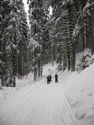 Fam. an der Bächelhütte Quelle:Fremdenverkehrsamt