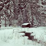 Hütte am Wettinbrunnen Winter Mit freundlicher Genehmigung Fotograf Harald