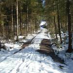 DSC06951 NEP Klughausgrund Blick auf Zuwegung Waldteich