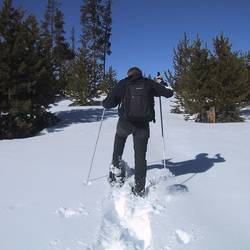 Ski-, Schneeschuh und Schlittenverleih
